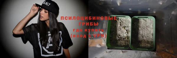 ешки Аркадак