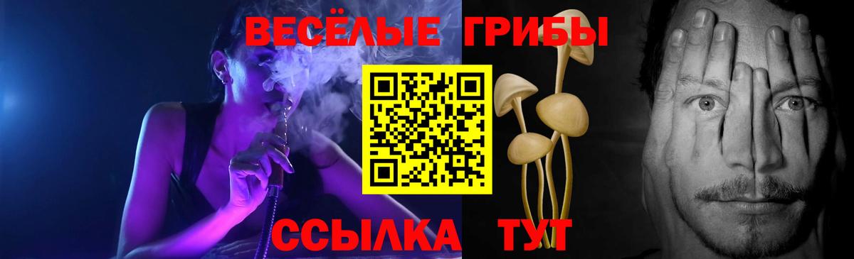 Псилоцибиновые грибы прущие грибы Елабуга